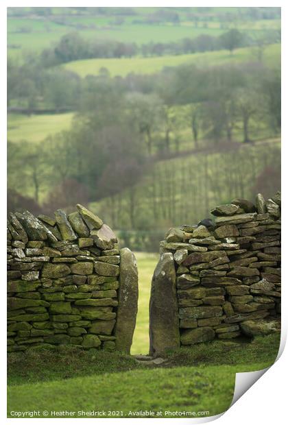 Drystone wall and stile Print by Heather Sheldrick