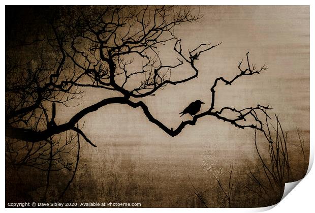 Crow Print by Dave Sibley