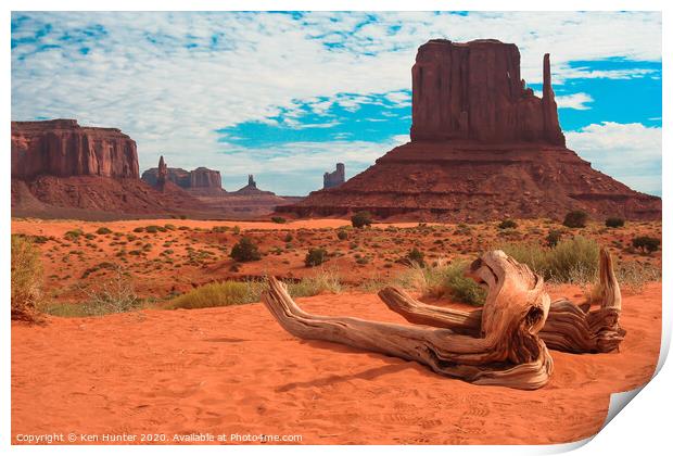 Dead Tree at Monument Valley Print by Ken Hunter
