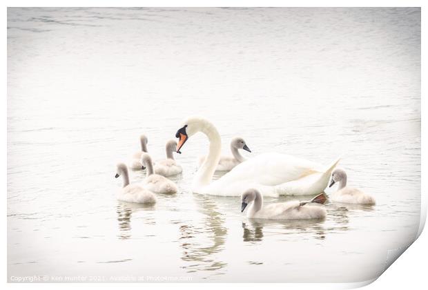 Mute Swan with Young In High-key Image Print by Ken Hunter