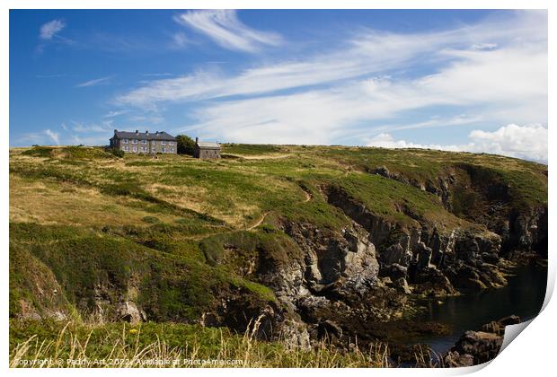 St. Non's Retreat Centre - St. David's, Pembrokeshire Print by Paddy Art