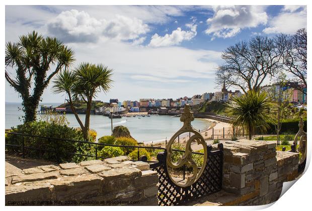 Tropical Tenby Print by Paddy Art