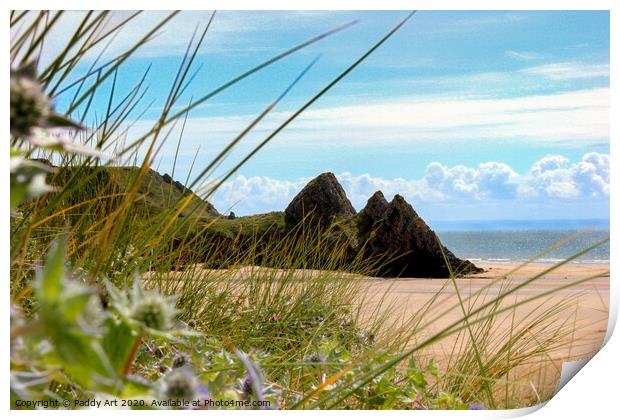 Three Cliffs - Gower, Through the Marram Print by Paddy Art