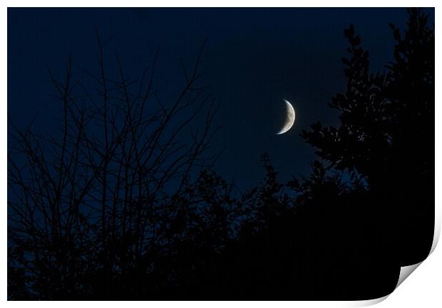 The Waxing Crescent Print by Paddy Art