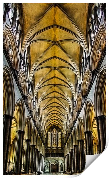 Salisbury Cathedral Nave Ceiling. Print by Paddy Art
