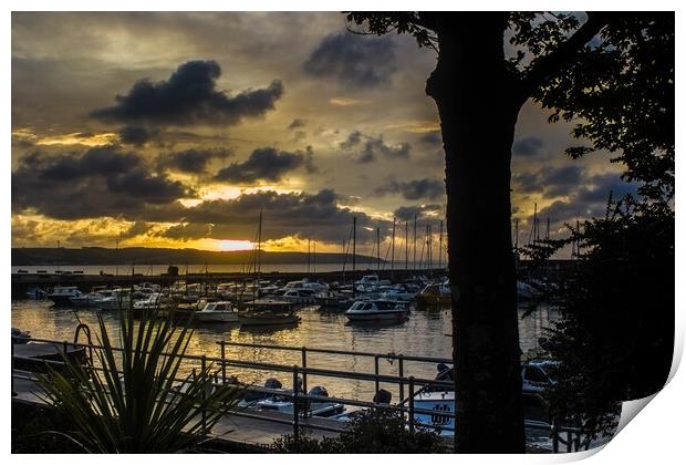 Saundersfoot Harbour Sunrise  Print by Paddy Art