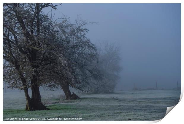Frosted trees Print by Paul Tyzack