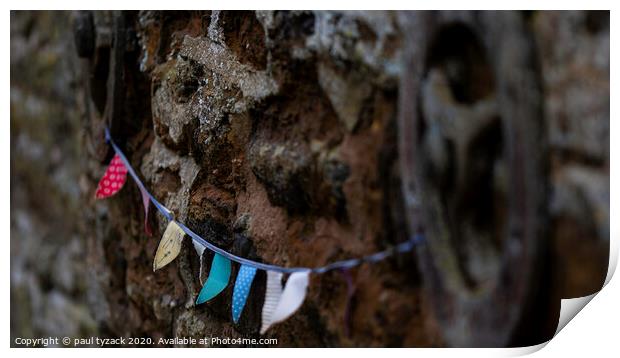Bunting Print by Paul Tyzack