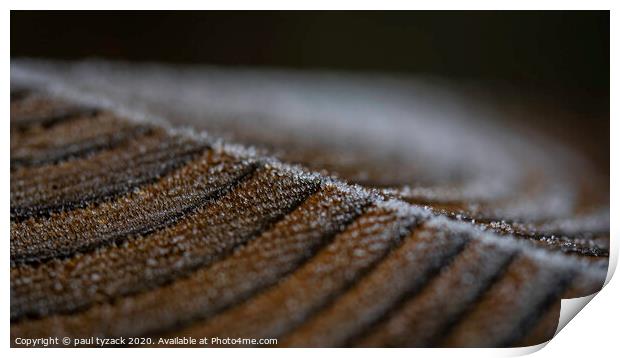 Frosted post Print by Paul Tyzack