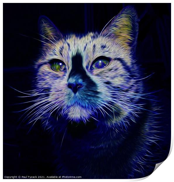 The blue cat Print by Paul Tyzack