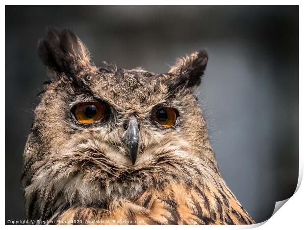 Eagle Owl  Print by Stephen Munn