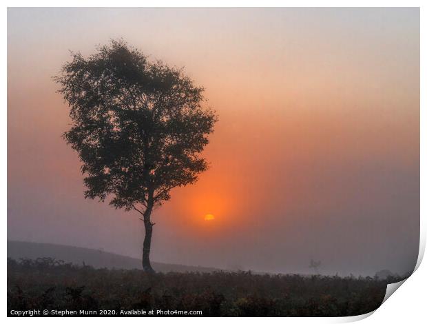 Ibsley Common Foggy Sunrise, New Forest National Park Print by Stephen Munn