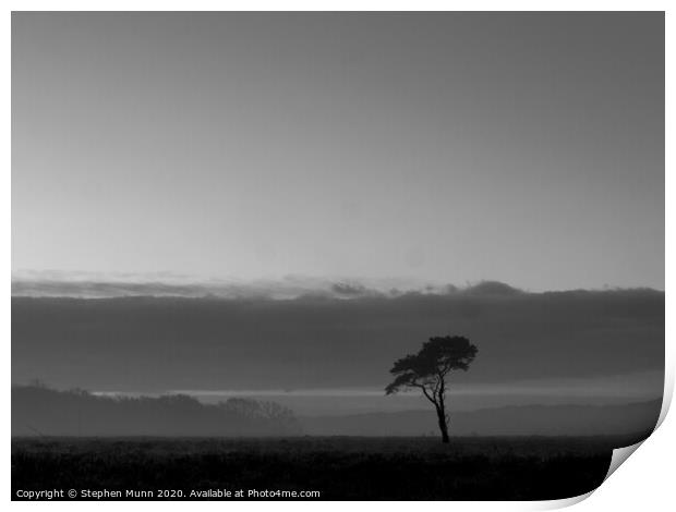 Lone tree at sunrise on the New Forest Print by Stephen Munn