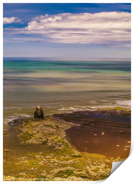 Black Nab, Saltwick Bay Print by Michael Shannon