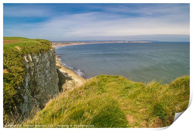 View from Buckton cliffs towards Filey Bay Print by Michael Shannon