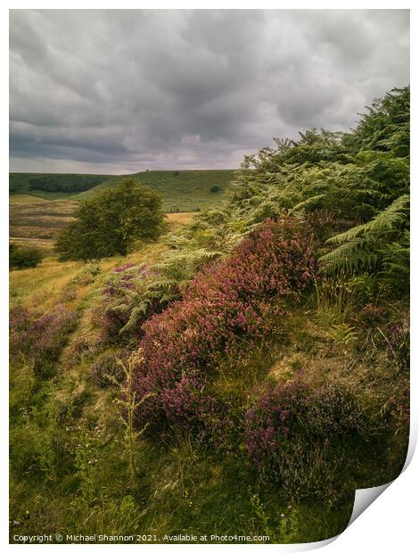 Bracken and Heather, Hole of Horcum Print by Michael Shannon