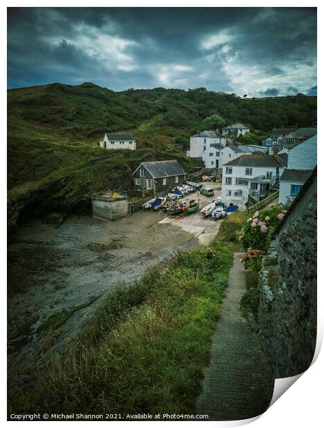 The traditional fishing village of Portloe in Corn Print by Michael Shannon