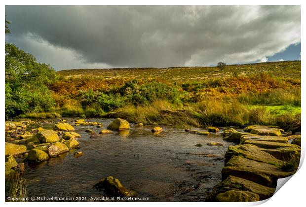Wheeldale Beck stepping stones Print by Michael Shannon