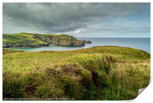 Clifftop View, looking South towards Bossiney Cove Print by Michael Shannon