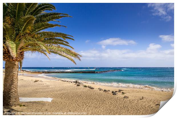 Palm Tree on the beach. Costa Teguise, Lanzarote Print by Michael Shannon
