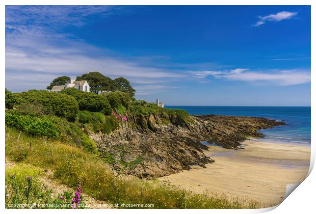 The beach at Chapel Point in Cornwall Print by Michael Shannon