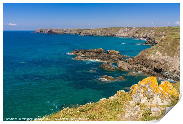 View from the walk from Lizard Point to Kynance co Print by Michael Shannon