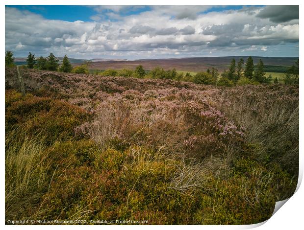 North Yorkshire Moors near Cowhouse Bank Print by Michael Shannon