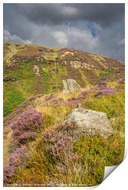 North Yorkshire Moors Landscape - Rosedale Head  Print by Michael Shannon