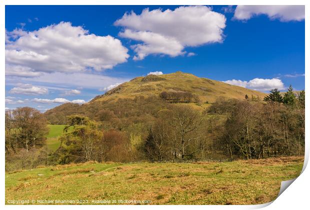 Hallin Fell - English Lake District Print by Michael Shannon