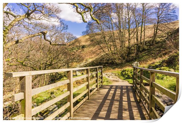 Wooden footbridge - English Lake District Print by Michael Shannon