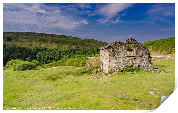 Derelict Stone Barn in Swaledale Print by Michael Shannon