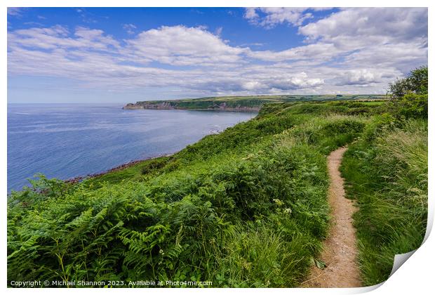 Coastal Charm: Cleveland Way - view towards Kettle Print by Michael Shannon