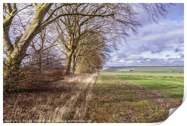 Yorkshire Wolds Countryside Print by Michael Shannon