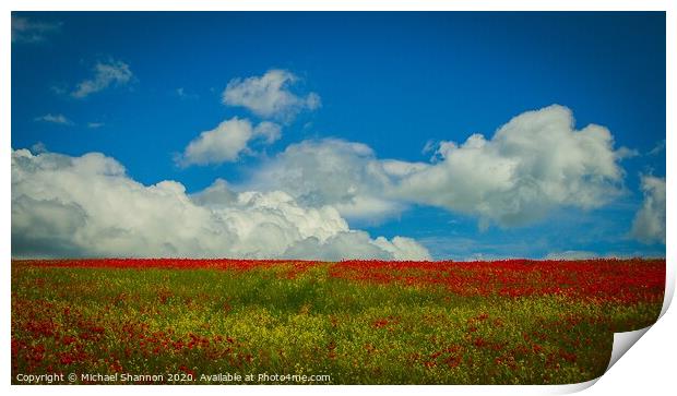 A Sea of Red Poppies Print by Michael Shannon