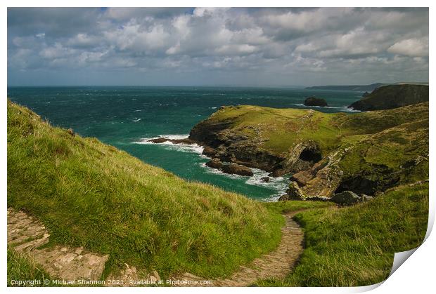 Cliff path leading to beach at Tintagel, Cornwall Print by Michael Shannon