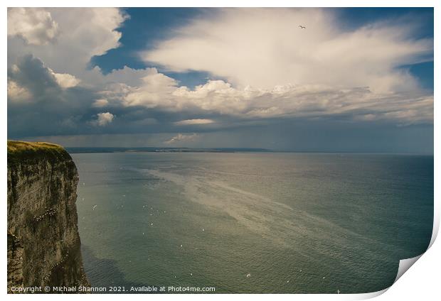 Seabirds at Bempton Cliffs on the North Yorkshire  Print by Michael Shannon
