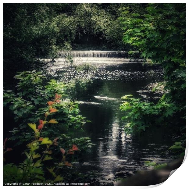 River Tame through the trees Print by Sarah Paddison