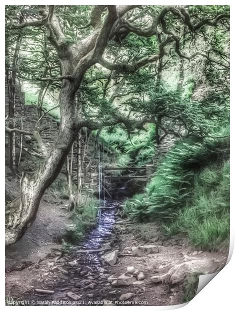 Tree and brook with rope swing Print by Sarah Paddison