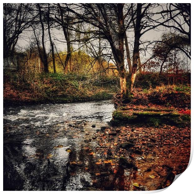 Autumn River with reflecting shadows Print by Sarah Paddison