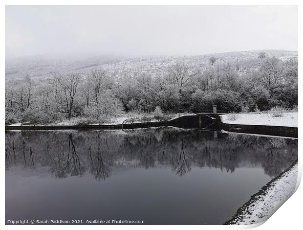 Reflecting Winter at Walkerwood Print by Sarah Paddison