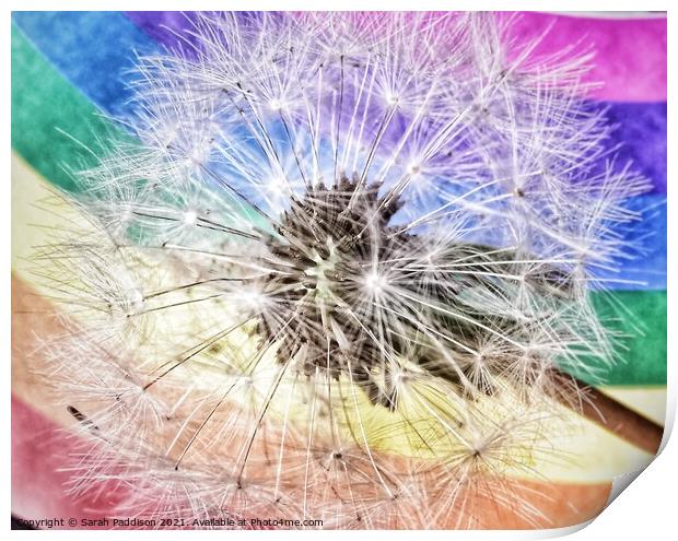 Rainbow Dandelion Print by Sarah Paddison