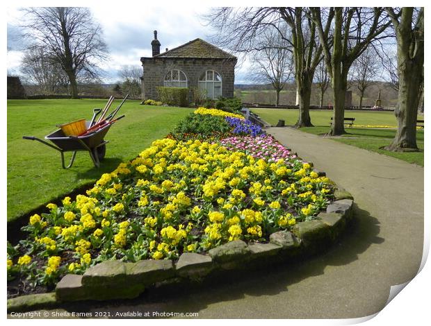 Flower Bed at Knaresborough Castle Gardens Print by Sheila Eames