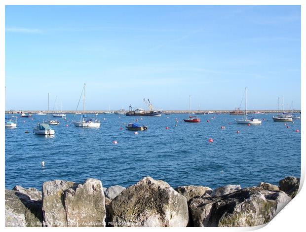 Brixham Harbour from the Town Print by Sheila Eames