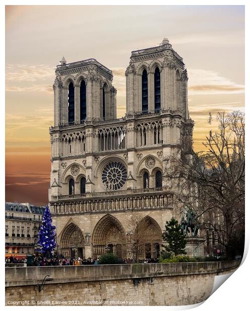 Notre Dame de Paris from the River Print by Sheila Eames