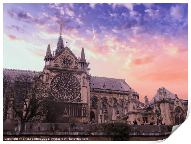 Notre Dame Cathedral, Rose Window, Paris, France. Print by Sheila Eames