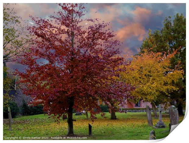 Aurumn in the Church Yard Print by Sheila Eames