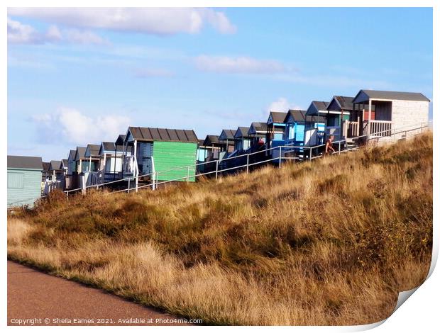 Beach Huts at Tankerton,, Kent, UK Print by Sheila Eames