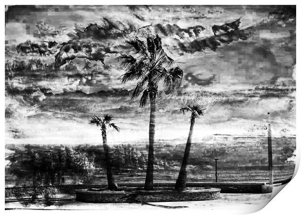 A Stormy Day in Black & white Print by Sheila Eames