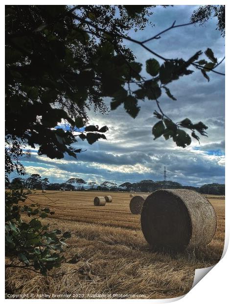 The Fields of Hay  Print by Ashley Bremner