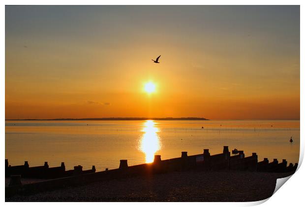 Seagull flying over setting sun at Whitstable Beach in Kent, England. Print by Jonathan Moulton